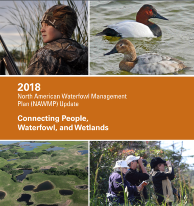 Cover of NAWMP 2018 update